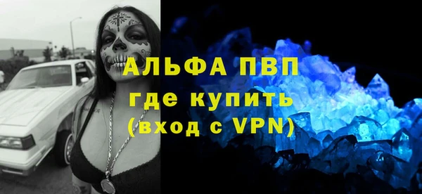 ECSTASY Богородицк
