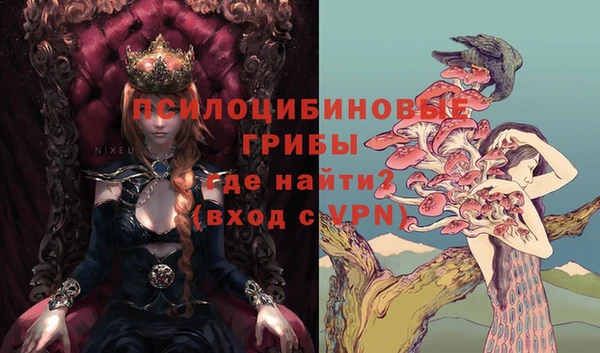 шишки Богданович