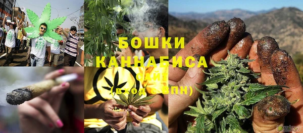 шишки Богданович