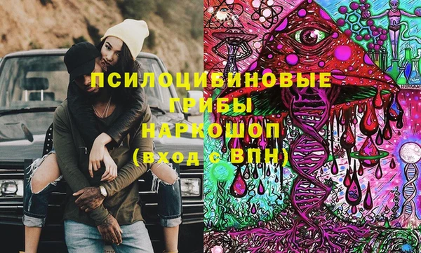 шишки Богданович