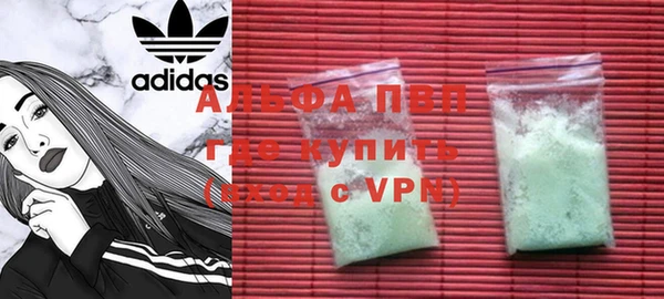 ECSTASY Богородицк
