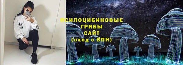 ECSTASY Богородицк