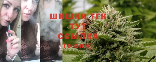 шишки Богданович
