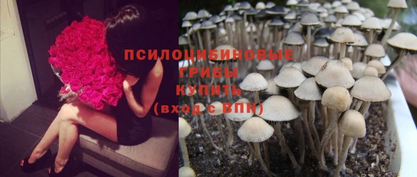 шишки Богданович