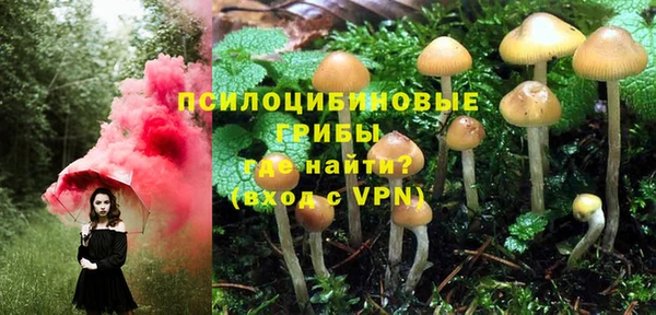 метадон Беломорск