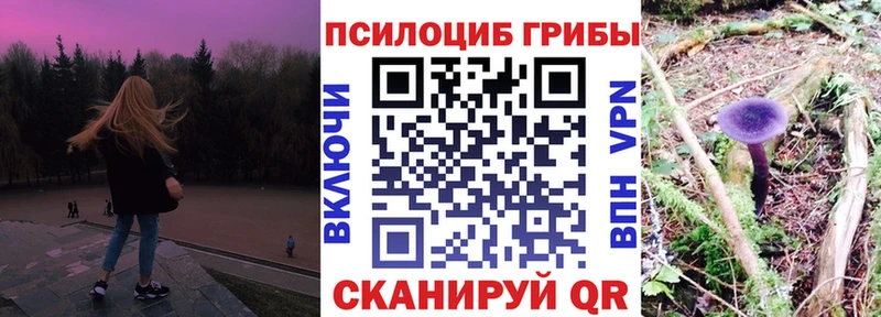 Галлюциногенные грибы MAGIC MUSHROOMS  купить закладку  hydra tor  Бородино 